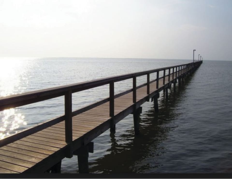 Free access to Sea Isle pier for excellent fishing and crabbing. 