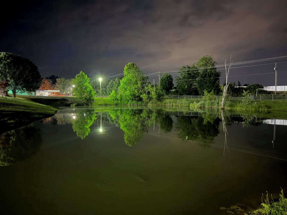 The pond is beautiful at night