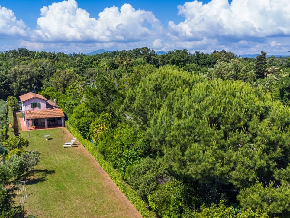 Aerial photography