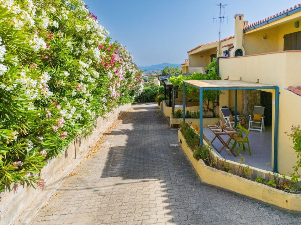 Shrub, Balcony, Shade, Landscaping, Houseplant, Flowerpot