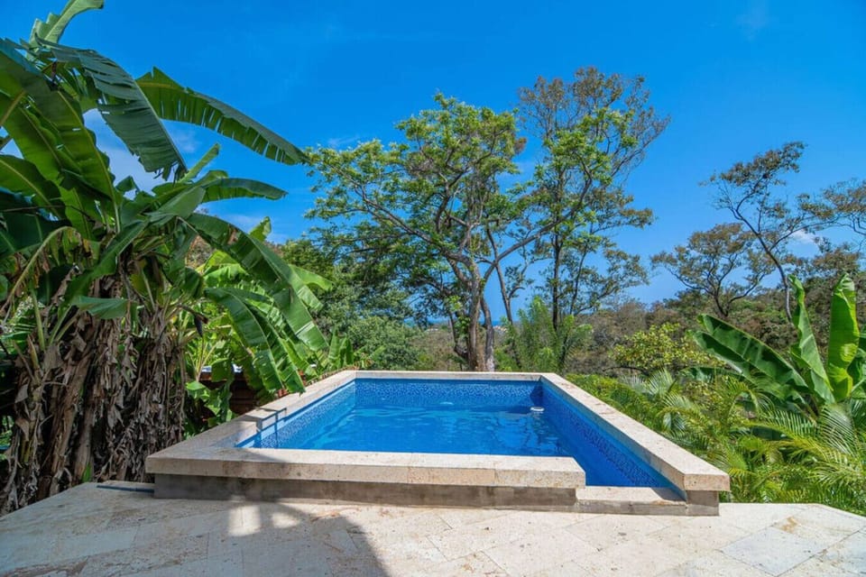 The pool is 100% private, nestled among banana trees with sweeping ocean views—your secluded Caribbean sanctuary.