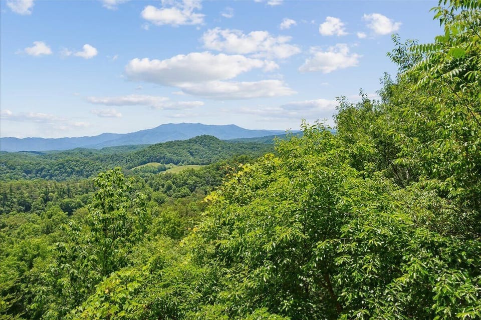 55-View