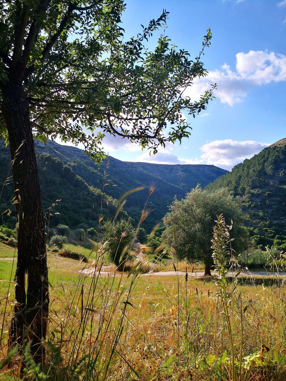 Hiking