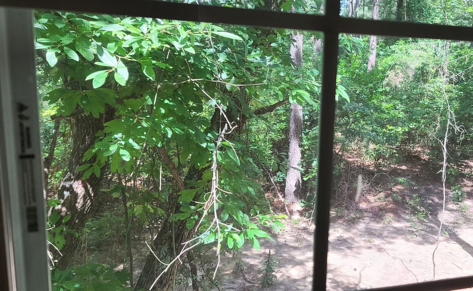 Rustic Trails Outside view from attic window