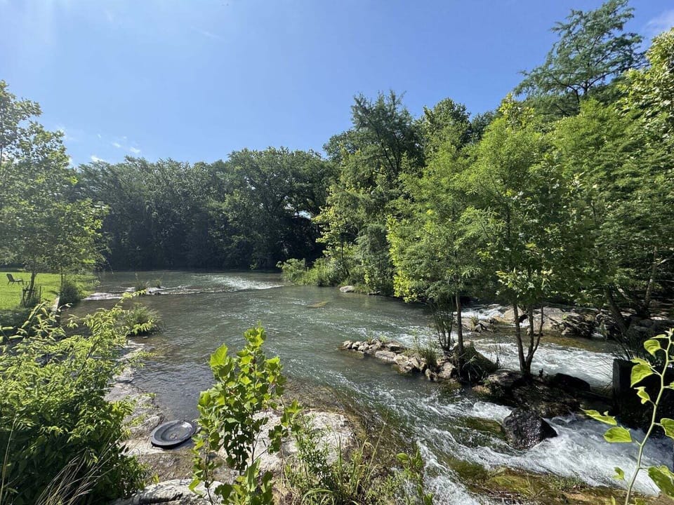 The river is stocked every year with fish