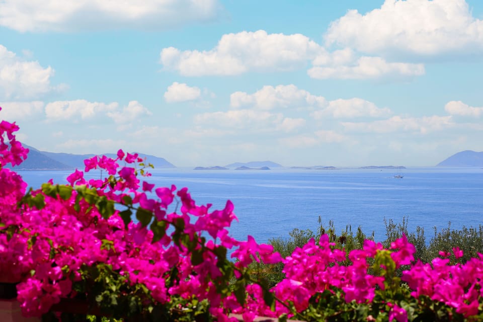 Villa, Balcony, Sea View | Balcony view