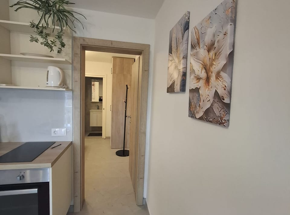 Apartment (One Bedroom Apartment with Garden Vie) | Interior