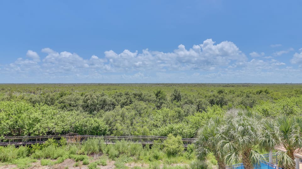 View from property