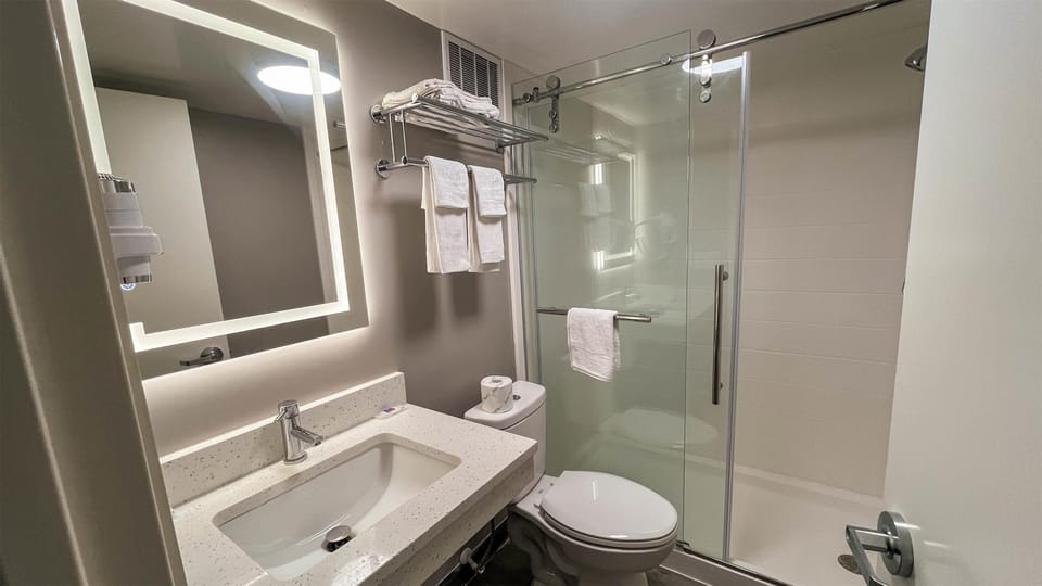 Towels, soap, shampoo, toilet paper