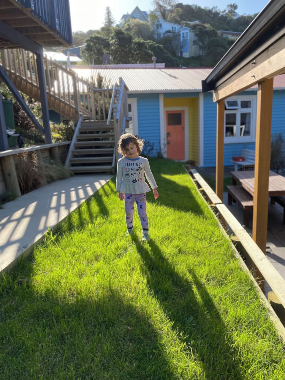 Sunny afternoon in the Shared Space leading to the front door.