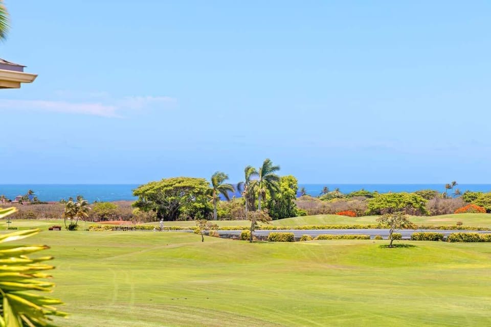 Distant Ocean View