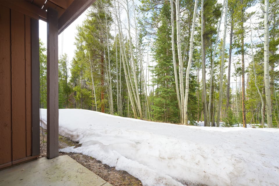 Winter wonderland setting with snow-covered grounds surrounded by towering aspen trees creating a serene mountain retreat atmosphere.