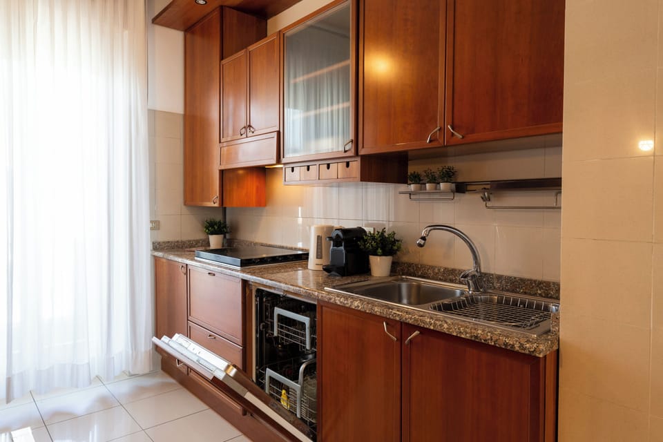 Comfort Apartment, Balcony, City View | Private kitchen | Full-size fridge, microwave, stovetop, dishwasher
