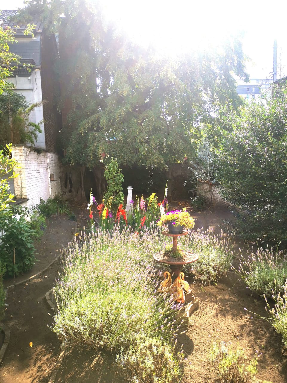 Property grounds