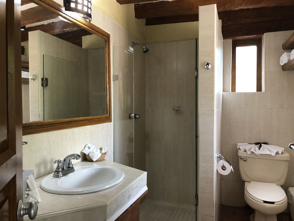 Junior Double Room, 1 King Bed, Garden View | Bathroom | Shower, free toiletries, hair dryer, towels
