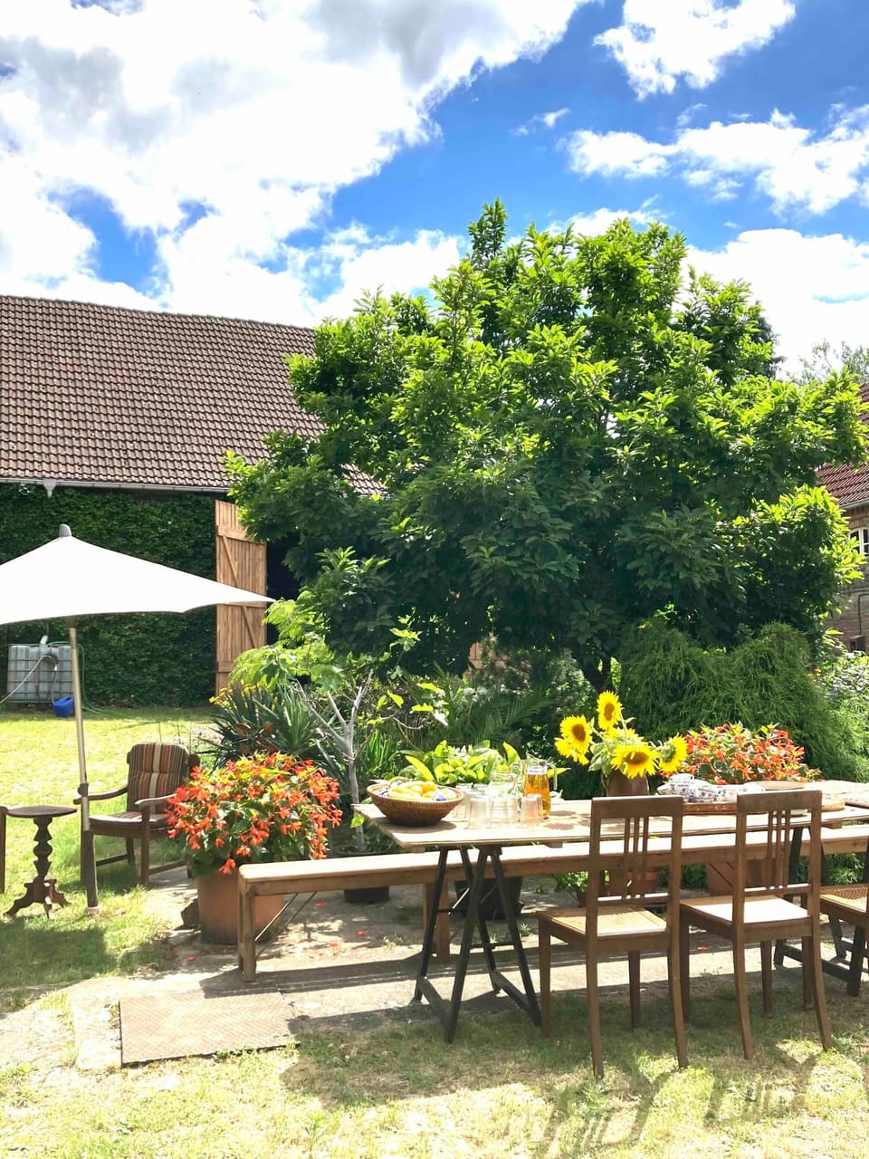 Outdoor dining