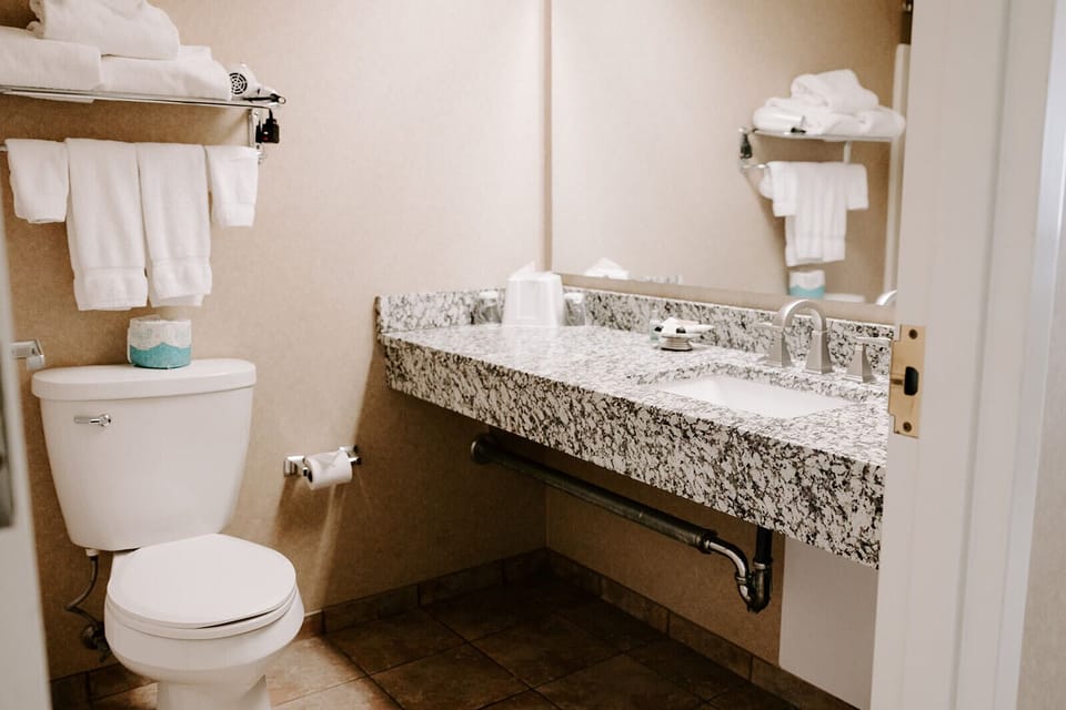 Standard Room, 1 King Bed, Non Smoking | Bathroom | Free toiletries, hair dryer, towels