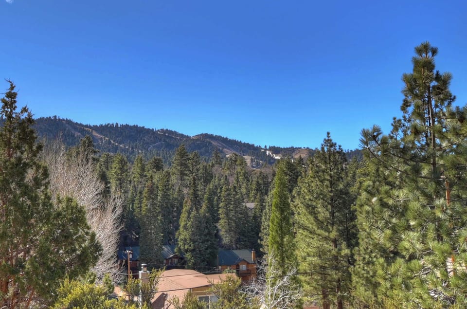 House, Multiple Beds, Hot Tub, Mountain View (Yosemite Pines Cabin) | View from room