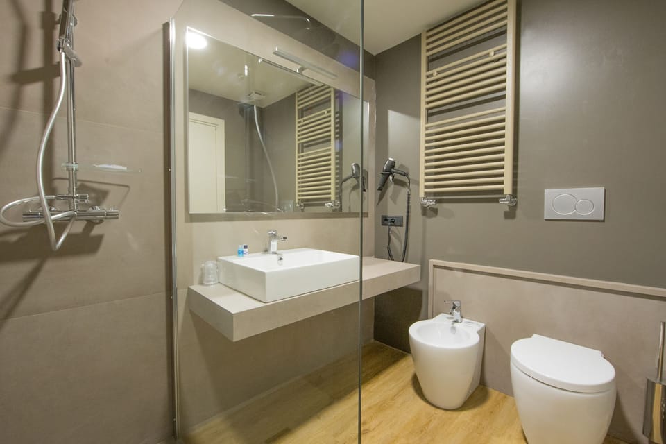 Shower, free toiletries, hair dryer, bidet