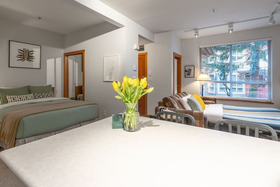 Studio layout offers an open, functional space.