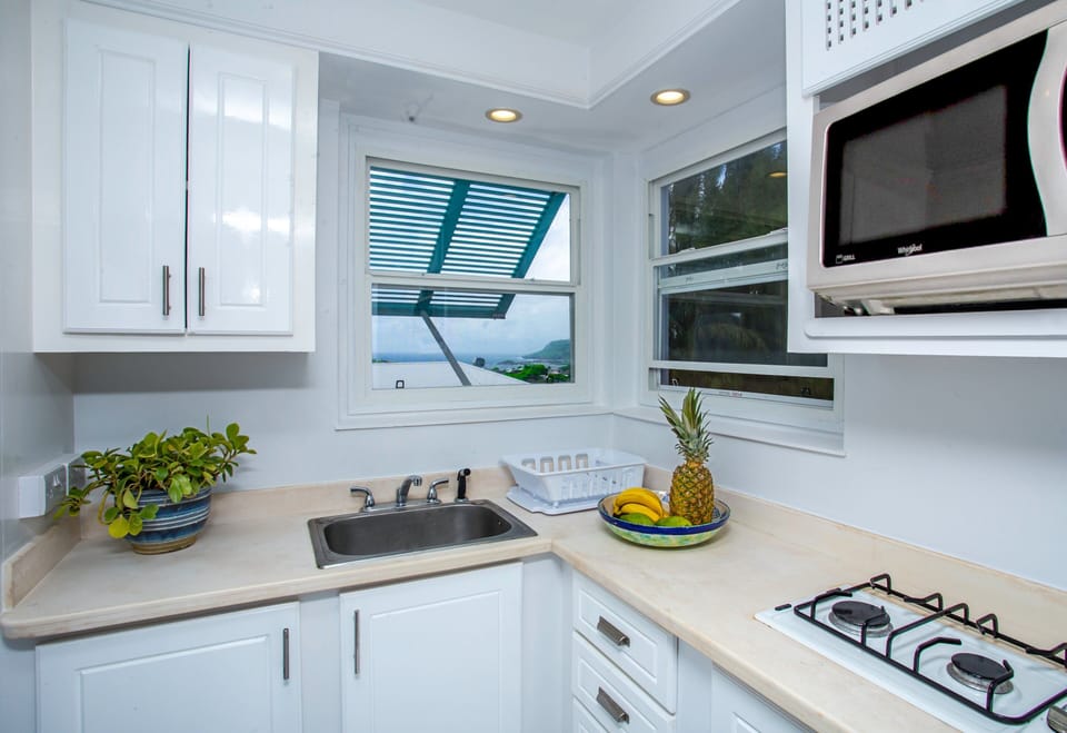 Compact, practical kitchenette equipped with a refrigerator, a countertop convection oven, and stovetop burners