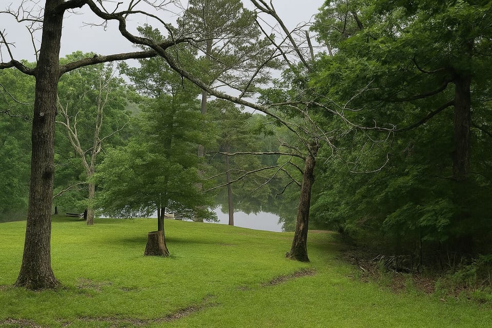 Lush, wooded grounds with lake access — perfect for morning strolls or afternoon exploring