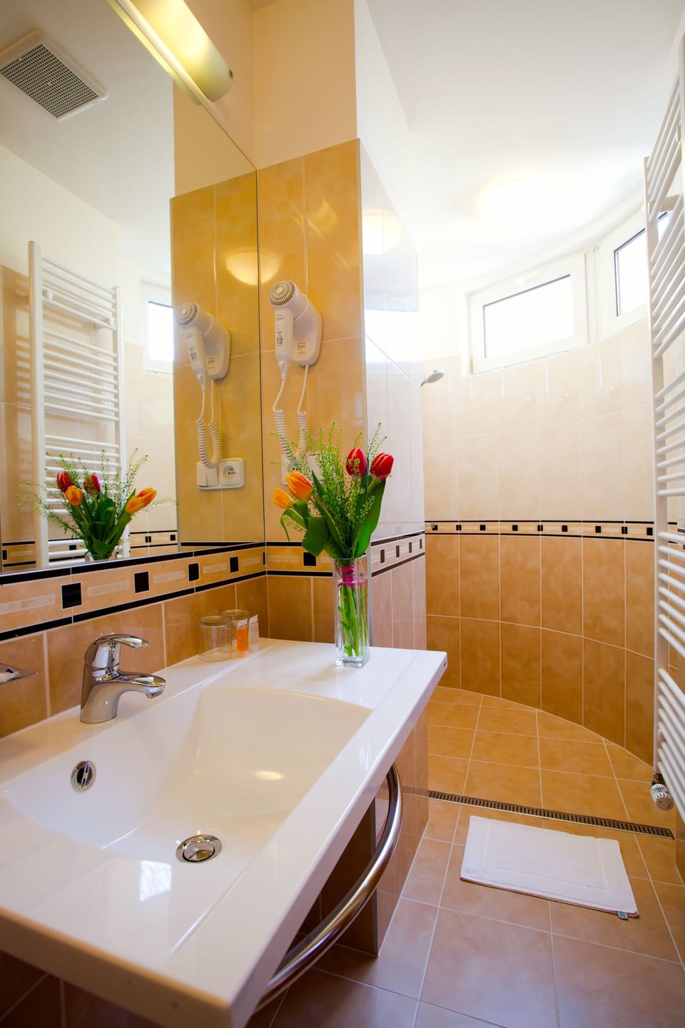 Shower, free toiletries, hair dryer, towels