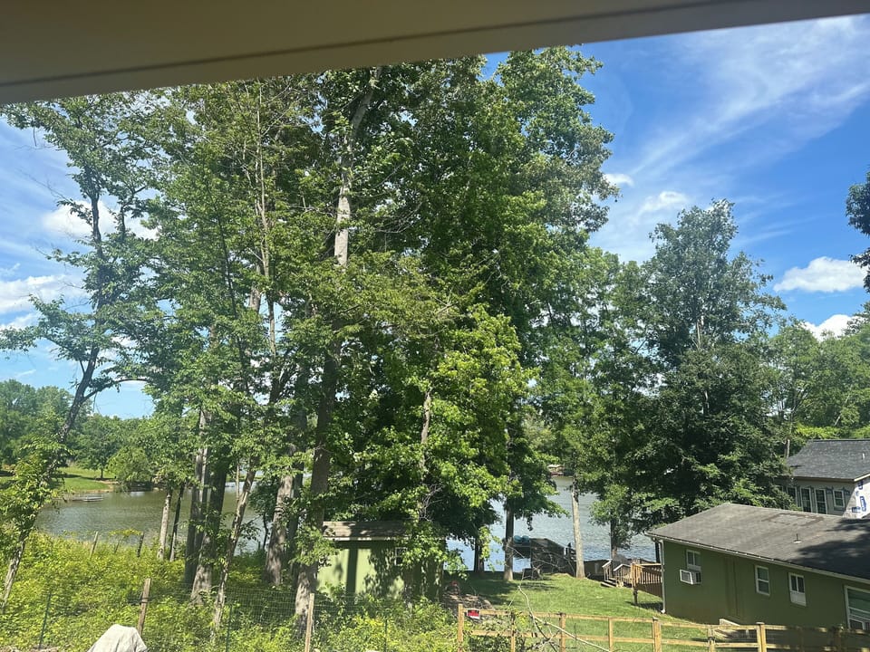 View from property