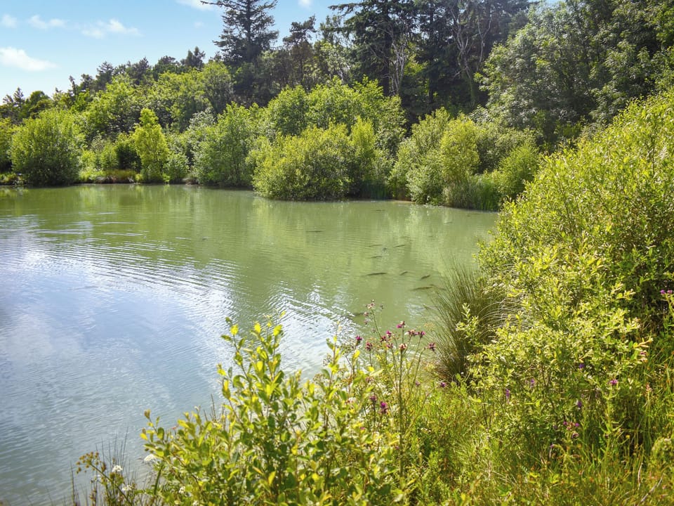 Surrounding area | Oak Park One - Oak Park Lakes, Tiverton