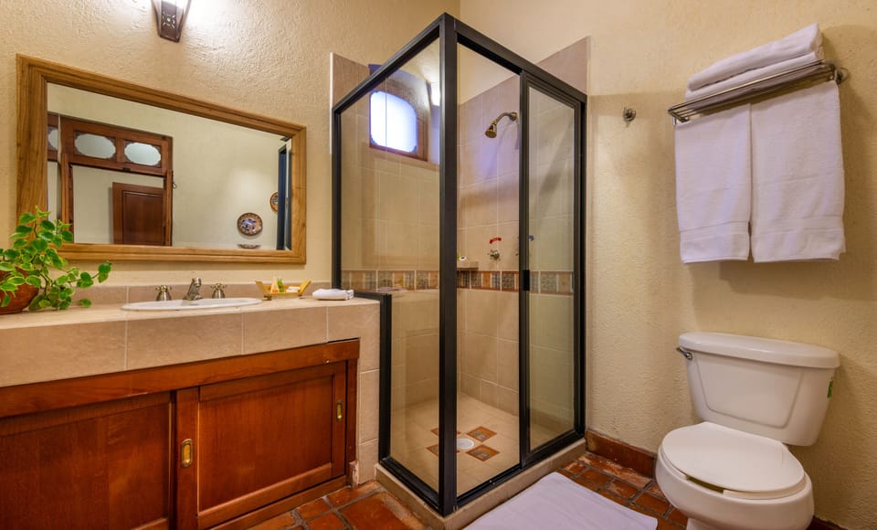 Shower, free toiletries, hair dryer, towels