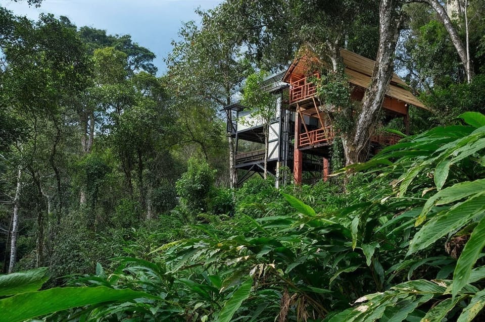 Premium Tree House, Balcony, Mountain View | Miscellaneous