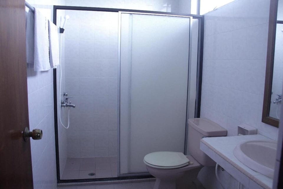 Shower, free toiletries, bidet, towels