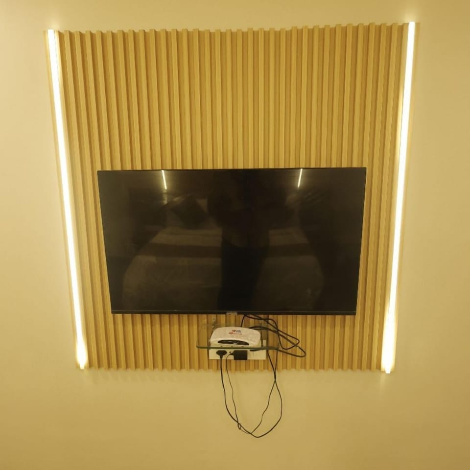 Television