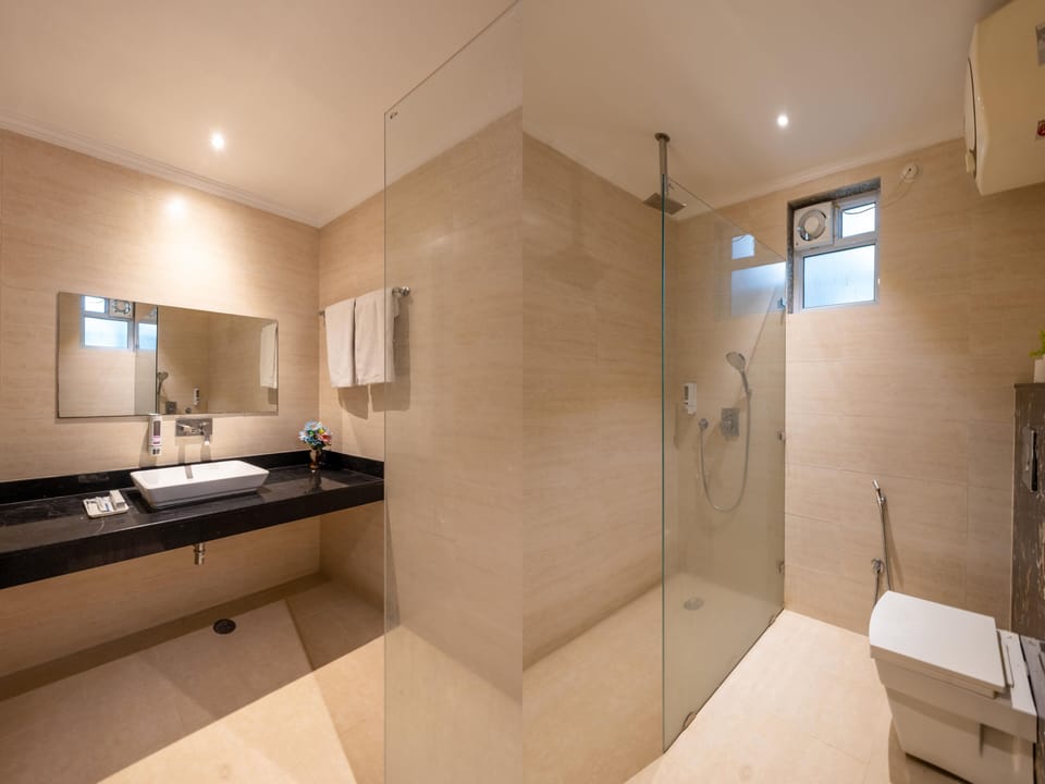 Shower, hydromassage showerhead, designer toiletries, hair dryer