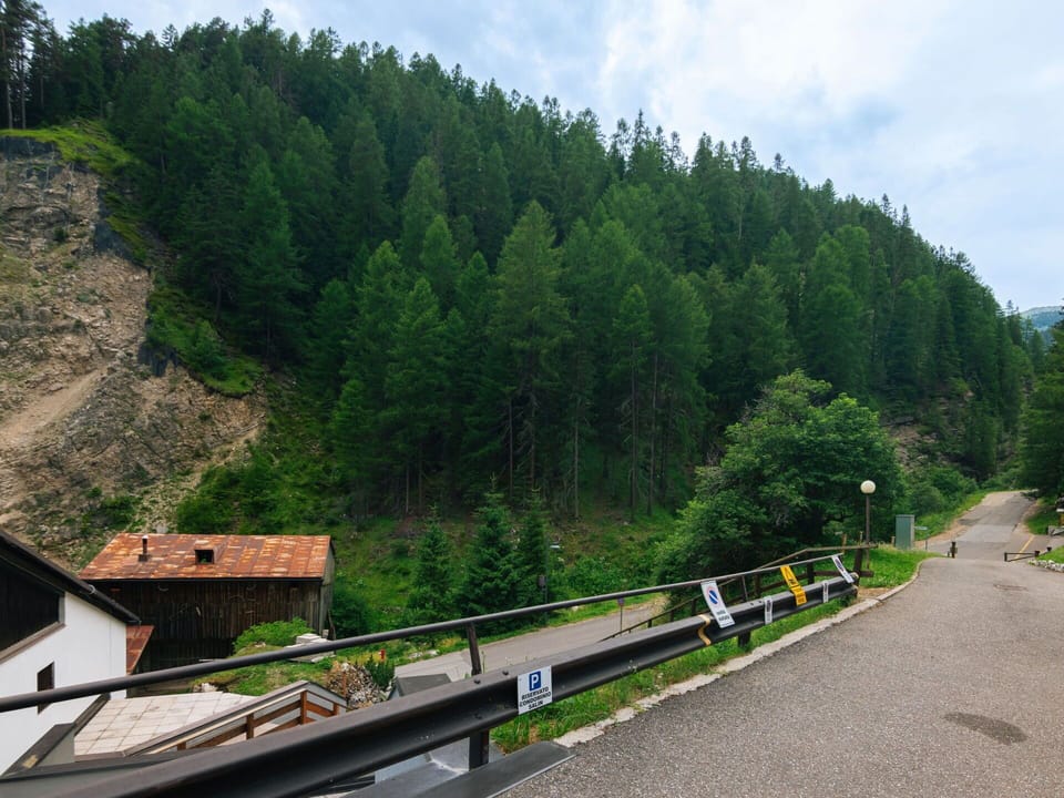 Tree, Forest, Larch, Hill Station, Mountain Pass, Evergreen, Pine Family, Tropical And Subtropical Coniferous Forests