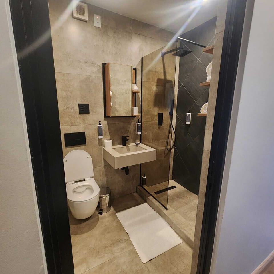 Standard Double or Twin Room | Bathroom | Bidet, soap, shampoo, toilet paper