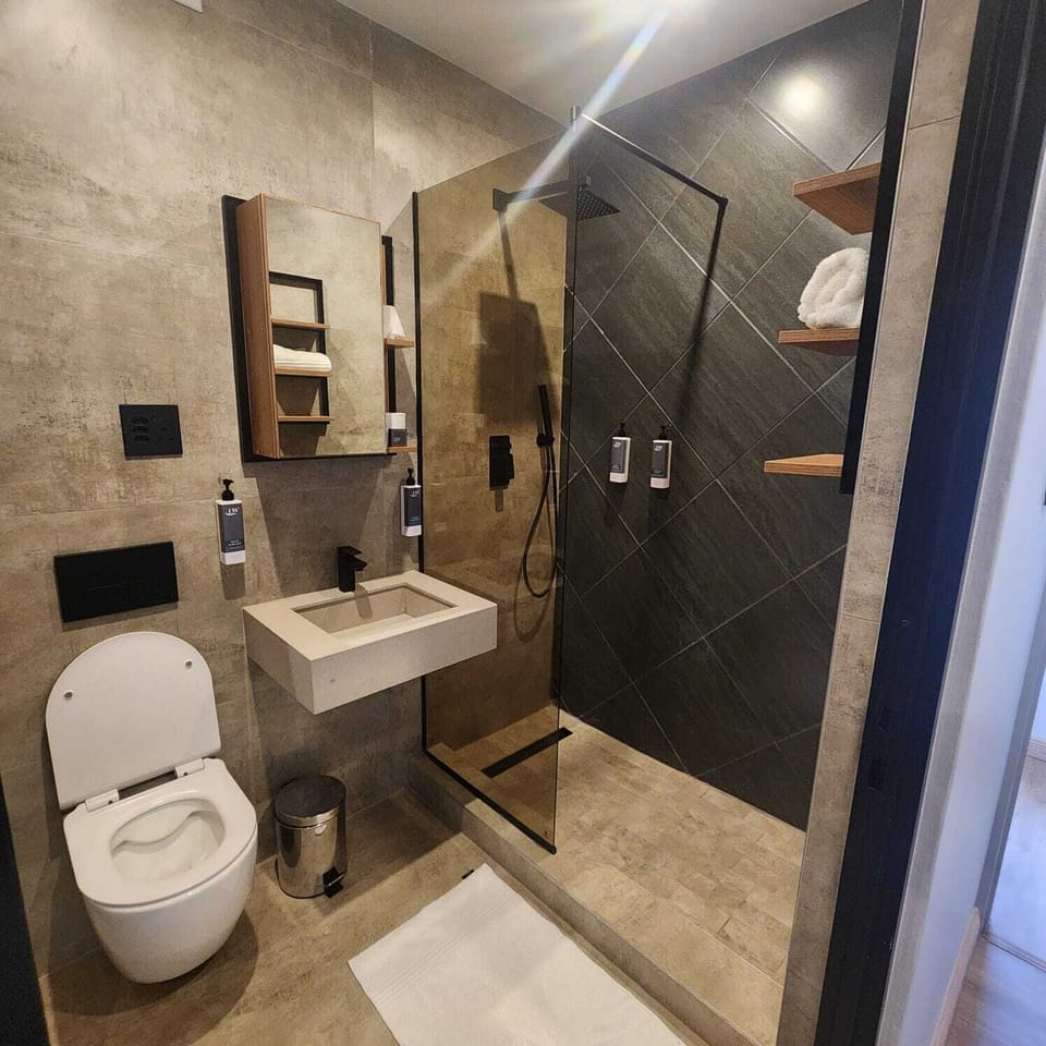 Standard Double Room | Bathroom | Bidet, soap, shampoo, toilet paper