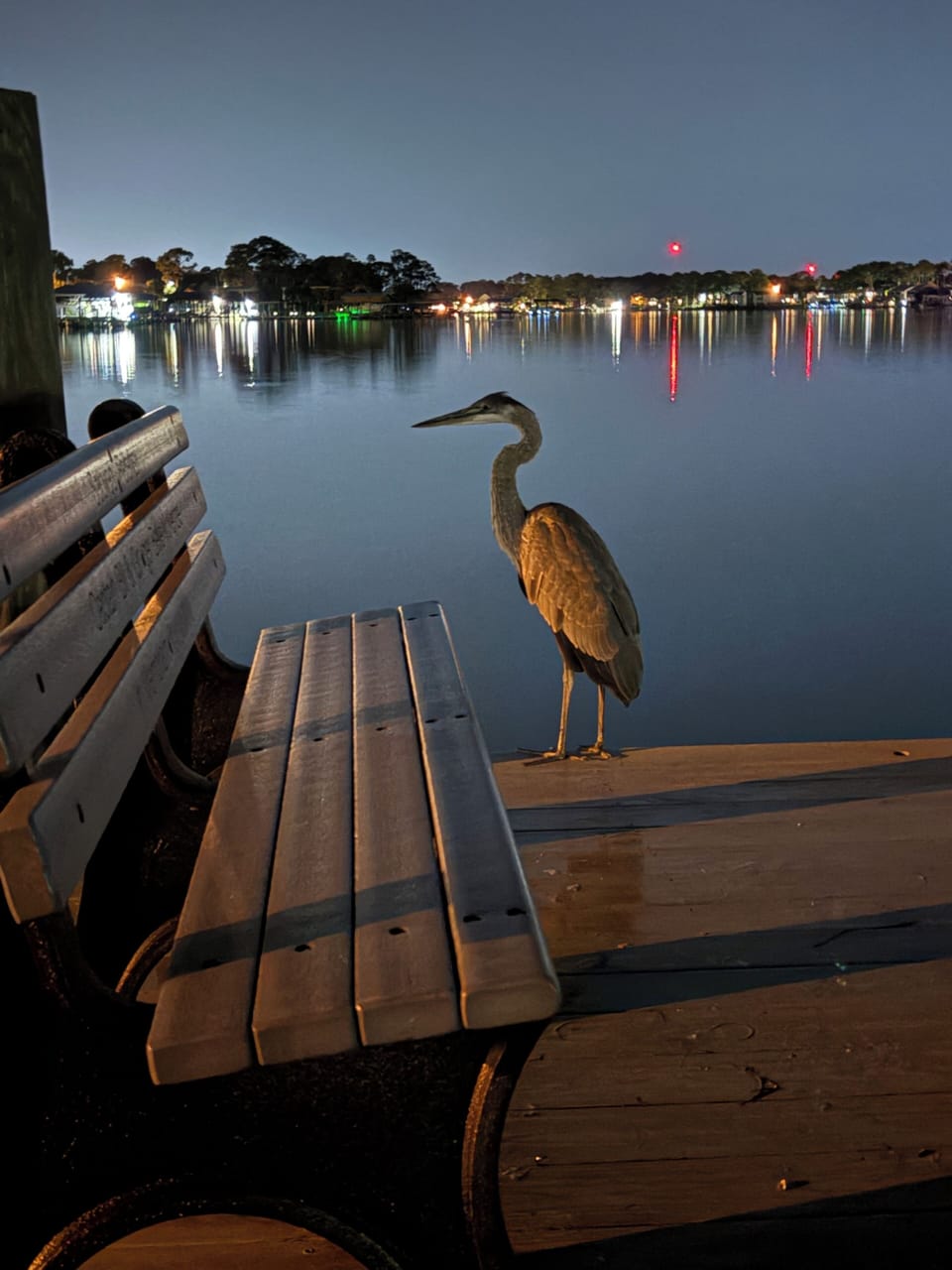 Off the boat dock next to the house
