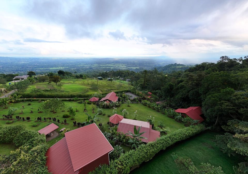 Property and city view