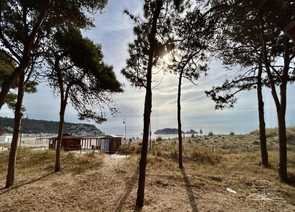Apartment | View from property