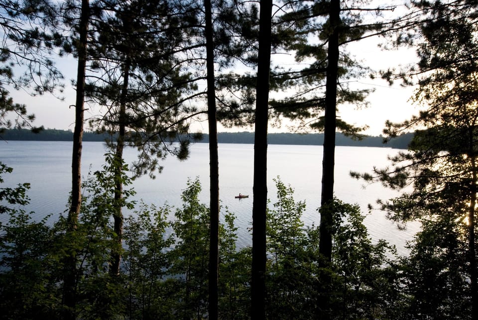 View