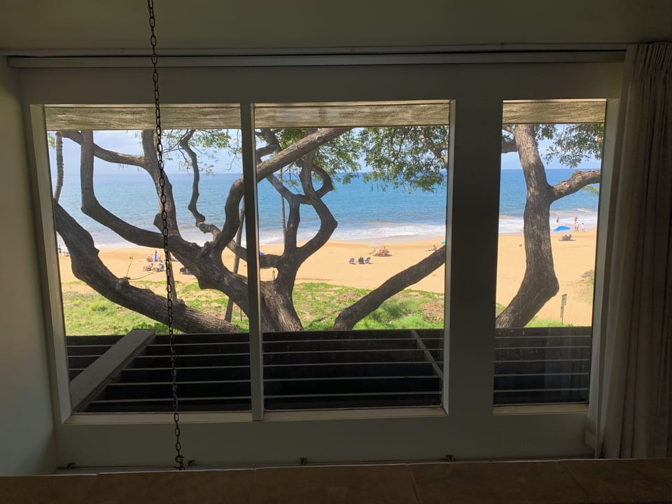 View from Primary Bedroom