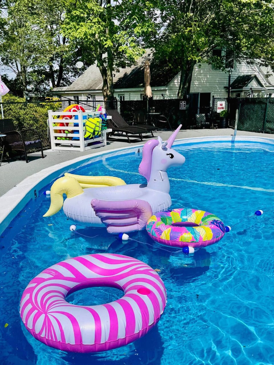 Saltwater, heated private pool