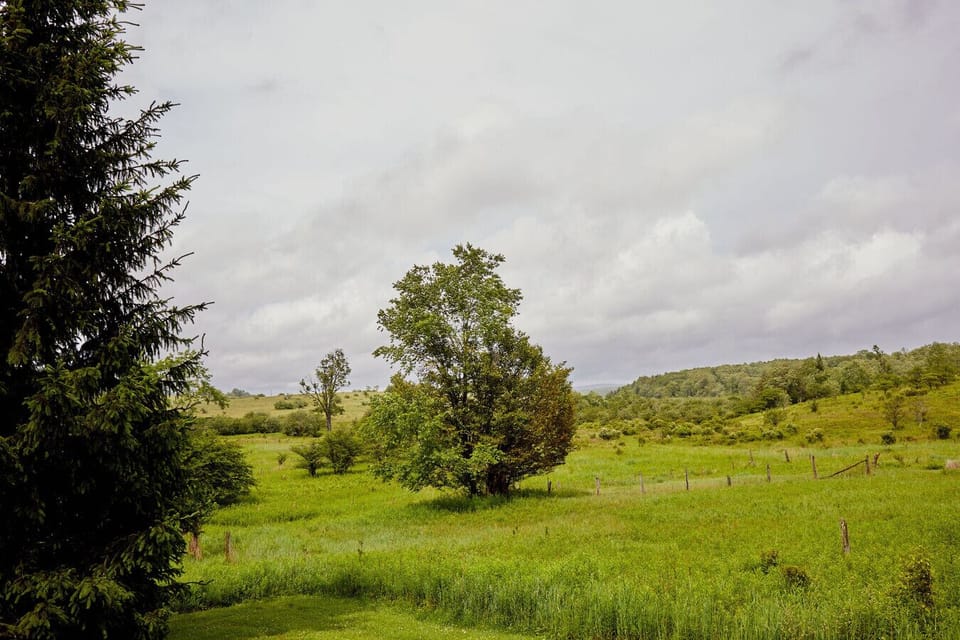 Wildlife preserve