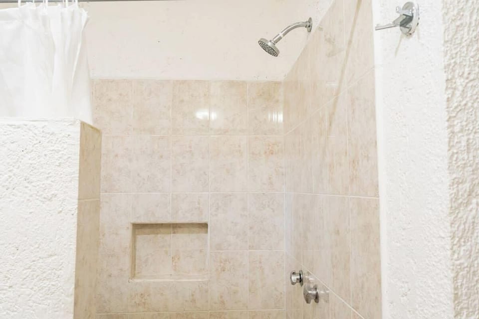 Walk-in shower with bath amenities