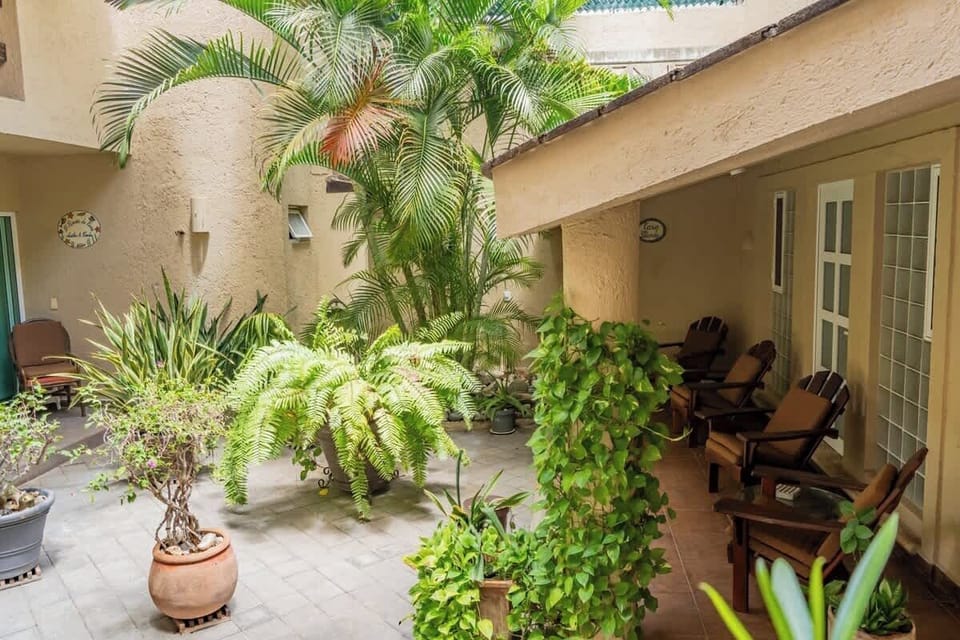 Building entrance with tropical plants.
