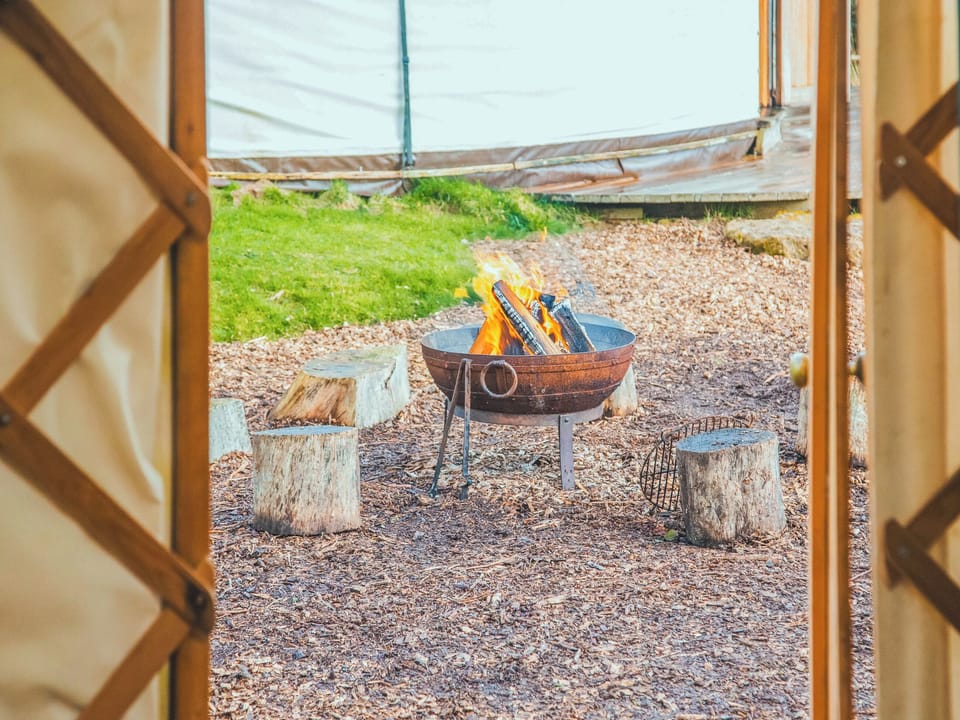 View | Skylark Yurt - Walnut Farm, Beaminster