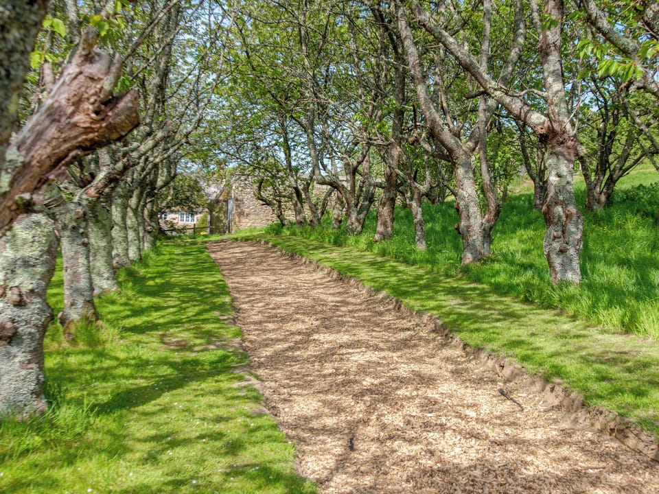 Double bedroom | Mistle Roundhouse - Walnut Farm, Beaminster