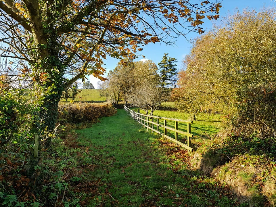 Surrounding area | Boxkite - Furley Cottages, Membury, near Axminster