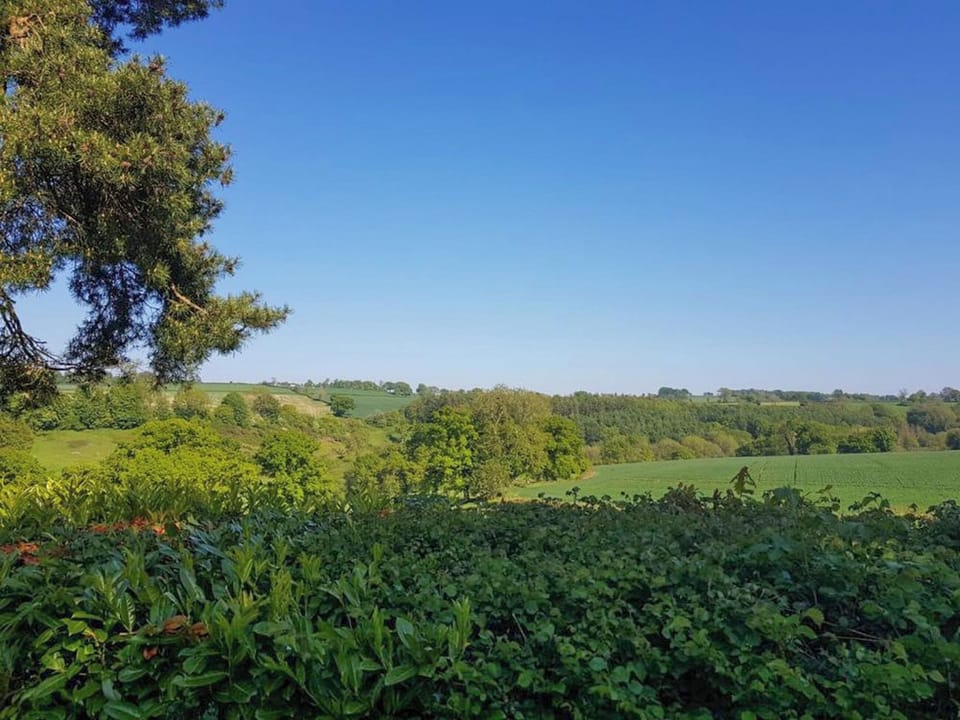Surrounding area | Brigand - Furley Cottages, Membury, near Axminster